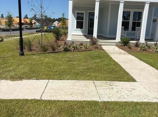 Angel G.'s grass cutting service result