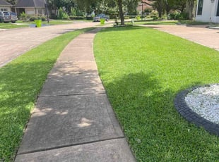 Dianna P.'s turf care service result