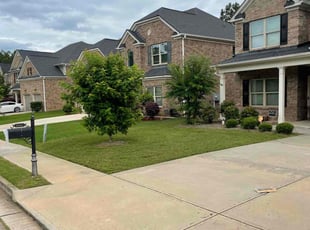 Richard M.'s grass maintenance service result
