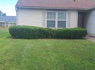 Shane K.'s turf maintenance service result