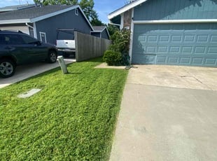 Frank T.'s turf care service result