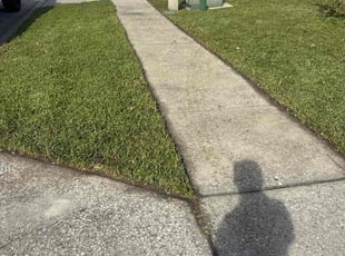 Charles W.'s lawn service service result