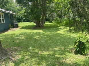 Dwyer R.'s lawn maintenance service result