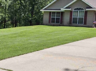 Christine K.'s lawn care service result