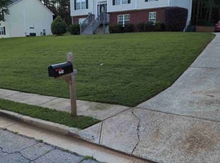 Kristina M.'s lawn maintenance service result