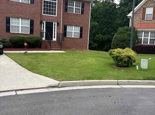 Terence S.'s lawn maintenance service result