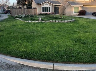 Nancy S.'s lawn service service result