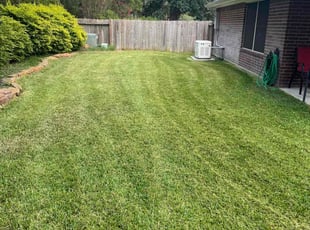Mike R.'s turf maintenance service result