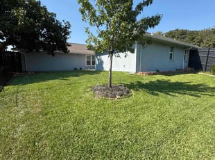 Michael B.'s lawn maintenance service result