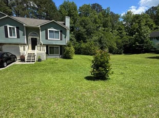 Desirae M.'s lawn care services service result
