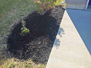 Dan S.'s Mulching service result