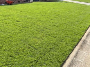Roy R.'s lawn care services service result