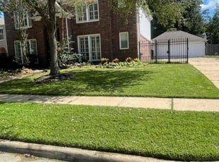 Magen P.'s lawn service service result