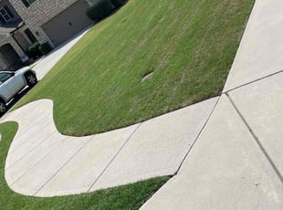 Jenni R.'s lawn care service result