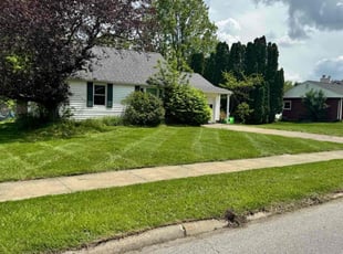 Rirshi B.'s grass maintenance service result