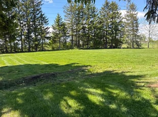 William G.'s grass cutting service result