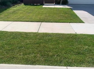 Patricia R.'s lawn service service result
