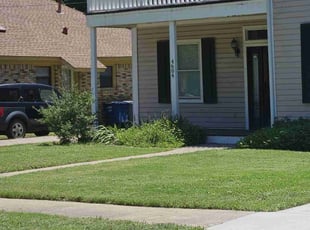 Patricia N.'s lawn care services service result