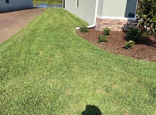 Kevin L.'s gardening service service result