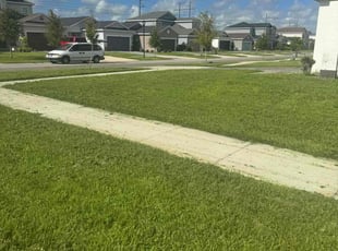 Jeremey C.'s turf care service result