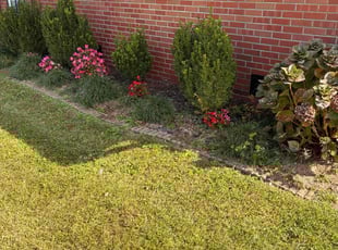 Shanna E.'s grass cutting service result