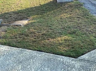 Trey M.'s grass maintenance service result