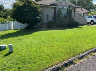 Pamela C.'s grass maintenance service result