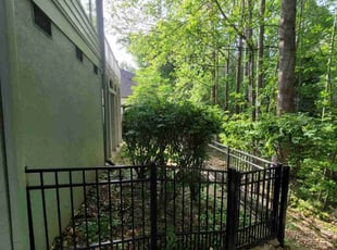 Epiphany C.'s Bush Trimming service result