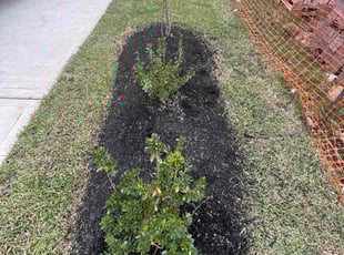 John D.'s Flower Bed Weeding service result