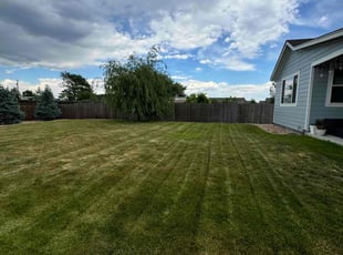 Janis H.'s turf maintenance service result