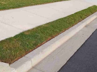 Midhun A.'s lawn service service result