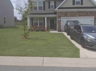 Mariam K.'s grass maintenance service result