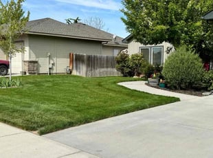 Drew S.'s lawn service service result