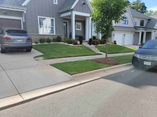 Kim B.'s lawn service service result