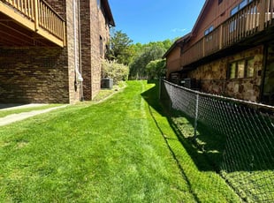 Sonja M.'s lawn care services service result