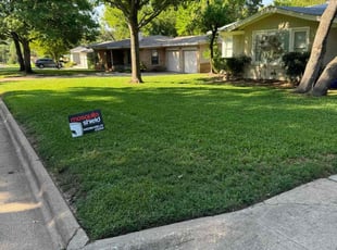 Jason B.'s turf maintenance service result