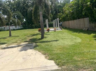 Monique S.'s lawn maintenance service result