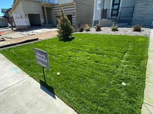 Larry H.'s grass maintenance service result