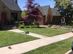 Jenn J.'s lawn service service result