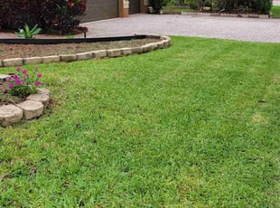Andrea R.'s lawn care service result
