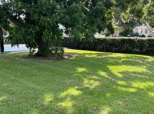 Cathy M.'s turf maintenance service result