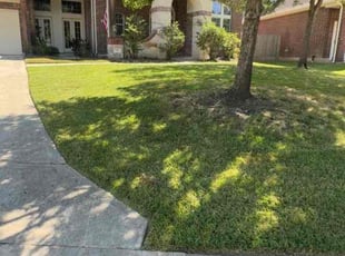 Steven M.'s grass cutting service result