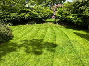 Richard B.'s lawn care services service result
