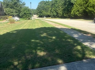 Johnny M.'s turf care service result