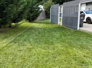 Jackie A.'s turf maintenance service result