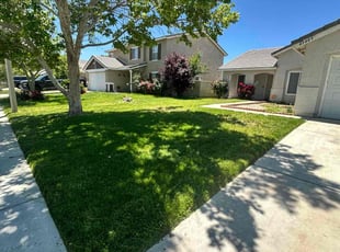 Elba S.'s landscaping services service result