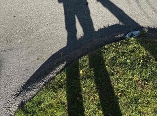 Rozy P.'s turf care service result