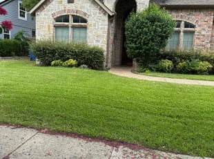 Jennifer s.'s grass maintenance service result