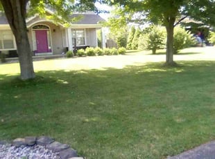 Chris P.'s grass cutting service result