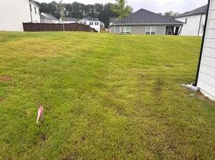 Jennifer S.'s lawn maintenance service result